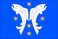 Flag of Velký Rybník