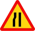 W.203b: Road narrows ahead on the left side