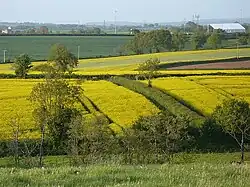 View across the Holbrook Valley