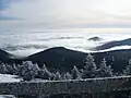 View from the peak of Mount Killington