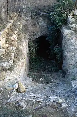 View into an ancient tomb, overgrown: a narrow trench, leading away from the viewer, leads towards a smaller entranceway.