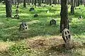 Round crosses in the Vormsi cemetery