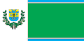 Flag of Vyzhnytsia