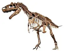 Big Al 2, the Allosaurus