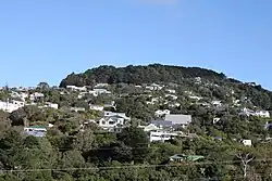 Wadestown and Te Ahumairangi Hill, looking from Ngaio