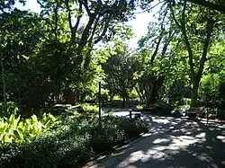 The Company's Garden, a large public park in the CBD, sits beside the Parliament of South Africa​​‌