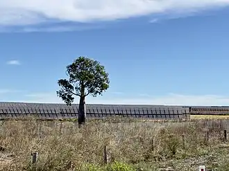 Wandoan South Solar Farm, Woleebee, 2023