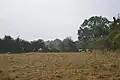Wansford Pasture