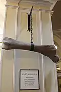 The mammoth bone hang inside the church.