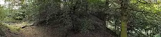 A mound covered in trees