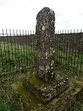 The Cross-shaft
