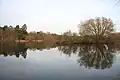 West Stow Heath