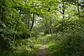 West Wood