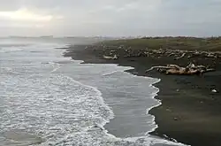 Beach, Whanganui