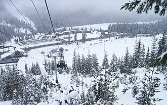 Looking northward, down the liftline, in 2010