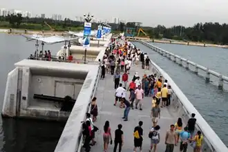 The Marina Bridge