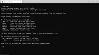 winget, the Windows Package Manager CLI for Windows 10 and 11
