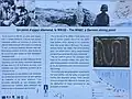 Wn62 Information Panel Colleville-sur-Mer