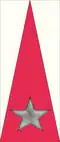 202nd Coastal Division