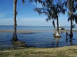 A view of Yalaha on Lake Harris
