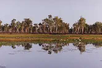 Kakadu National Park