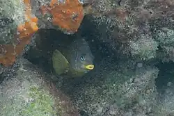 In the Galapagos