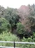 Yenne river, Kadakola