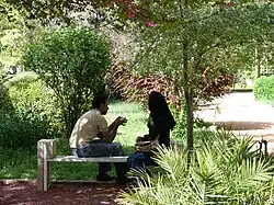 Iranian couple sitting under a tree, enjoying intimity.