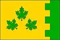 Flag of Závada