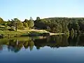 Pond 'American' in Złoty Potok