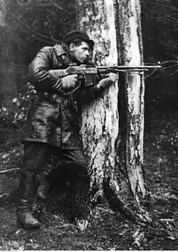 Polish partisan from the Jędrusie unit partially hidden behind a tree, holding a Polish-made M1918 Browning Automatic Rifle during World War II.