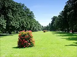Paderewski Park