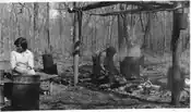 Native Americans preparing maple sugar by boiling maple tree sap