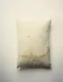 The pillow Abraham Lincoln died on