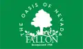Flag of Fallon, Nevada