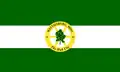 Flag of Hattiesburg