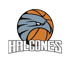 Halcones de Ciudad Obregón logo