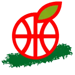 Hapoel HaEmek logo