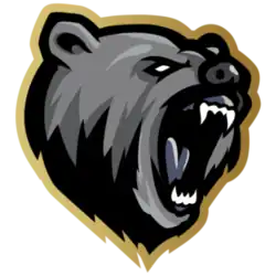 Ours de Toulouse logo