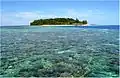 Coral reef near Saronde