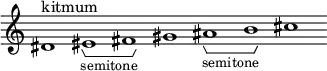 \new Staff \with { \consists Horizontal_bracket_engraver \remove "Time_signature_engraver" \remove "Bar_engraver" }
\relative c' {
dis1^"kitmum" eis -\tweak HorizontalBracketText.text "semitone" \startGroup fis\stopGroup gis ais-\tweak HorizontalBracketText.text "semitone"\startGroup b\stopGroup cis }